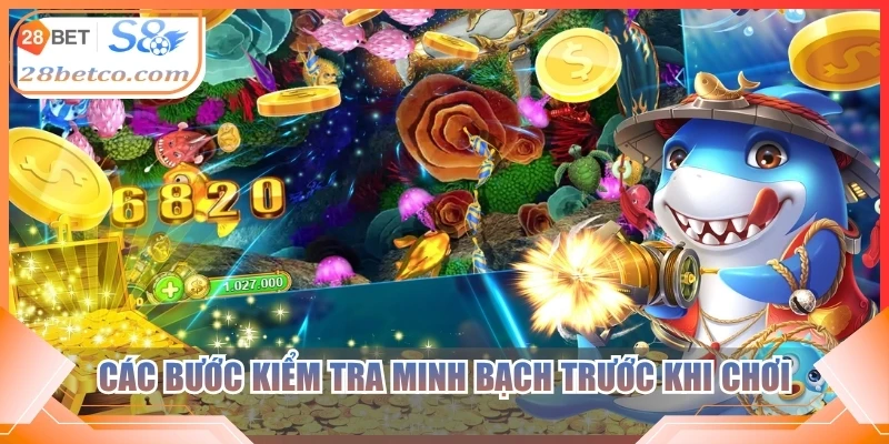 Các bước kiểm tra minh bạch trước khi chơi