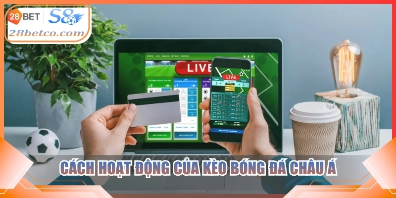 Cách hoạt động của kèo bóng đá châu Á