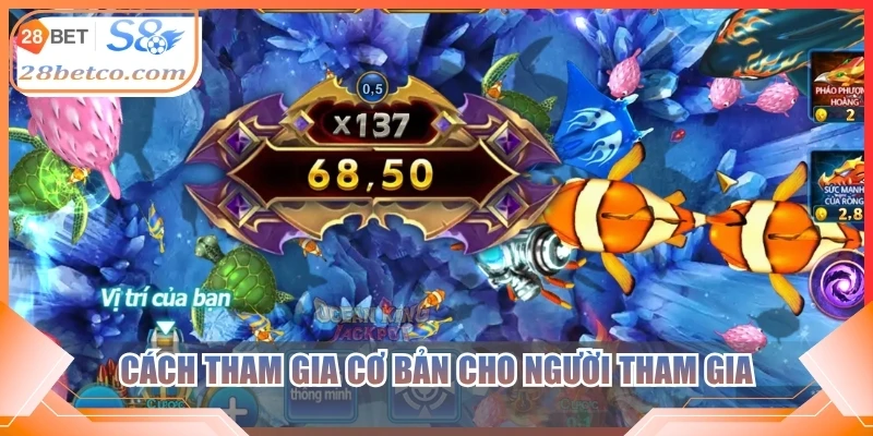 Cách tham gia cơ bản cho người tham gia
