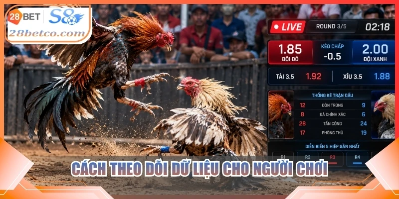 Cách theo dõi dữ liệu cho người chơi