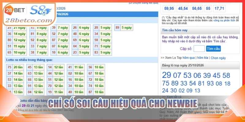 Chỉ số soi câu hiệu quả cho newbie