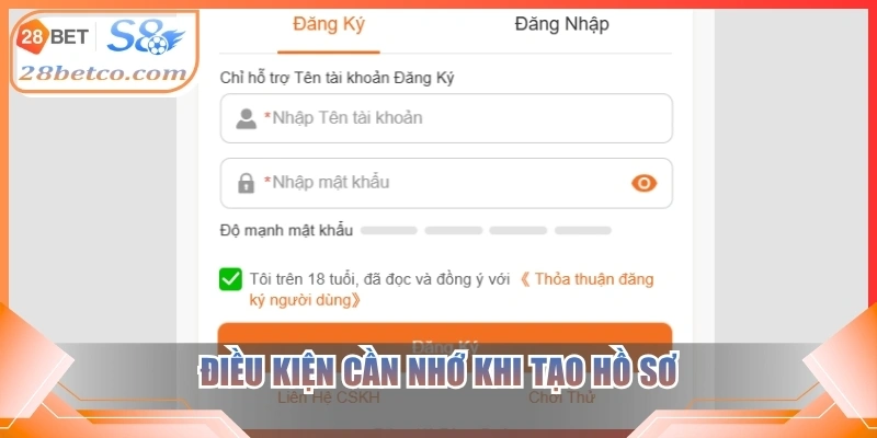 Điều kiện cần nhớ khi tạo hồ sơ