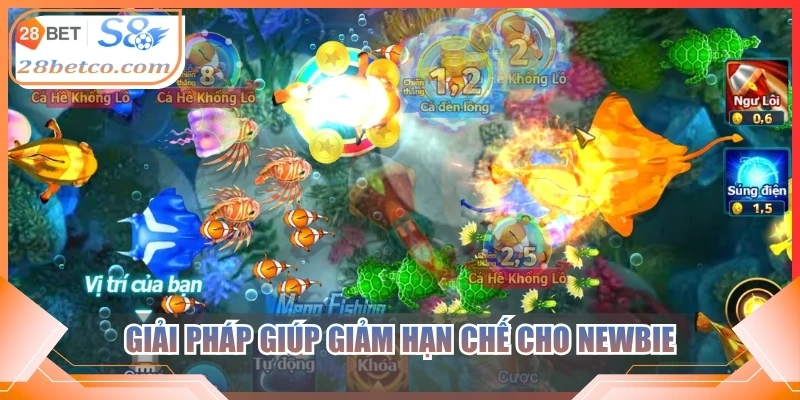 Giải pháp giúp giảm hạn chế cho newbie
