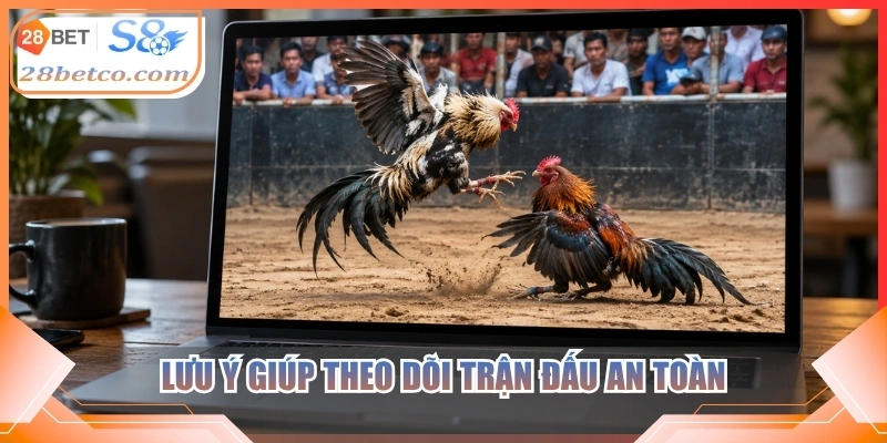 Lưu ý giúp theo dõi trận đấu an toàn