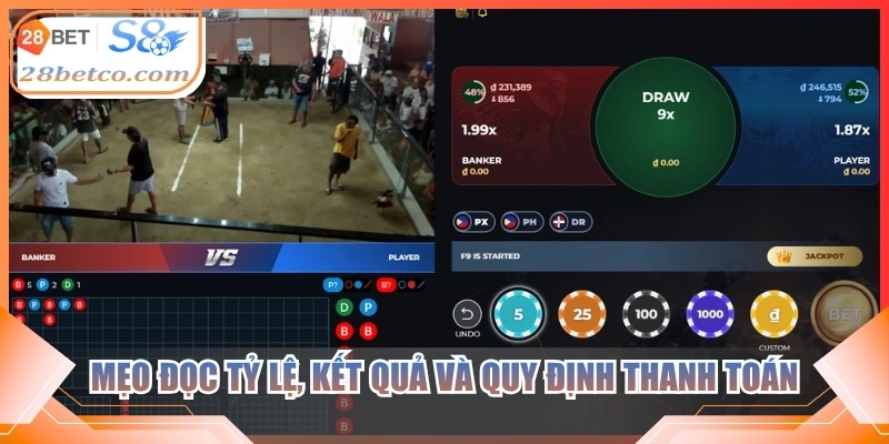 Mẹo đọc tỷ lệ, kết quả và quy định thanh toán