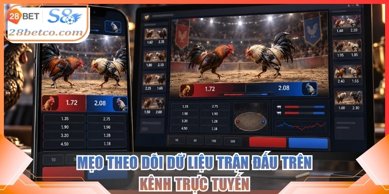 Mẹo theo dõi dữ liệu trận đấu trên kênh trực tuyến