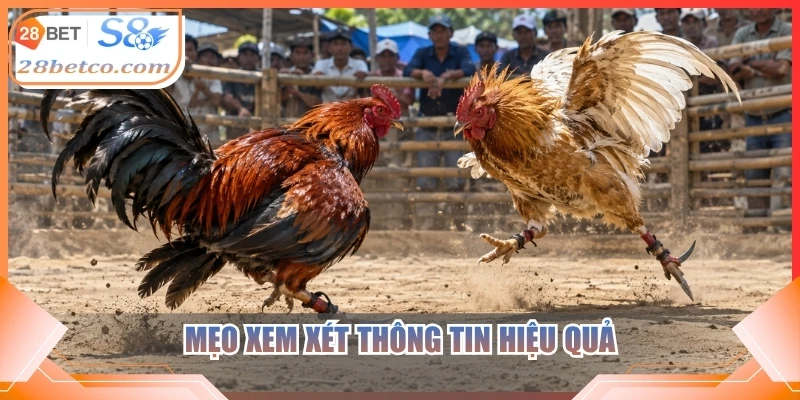 Mẹo xem xét thông tin hiệu quả