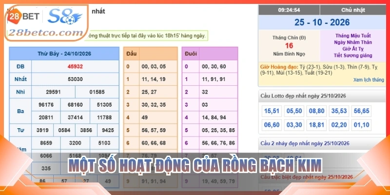 Một số hoạt động của rồng bạch kim