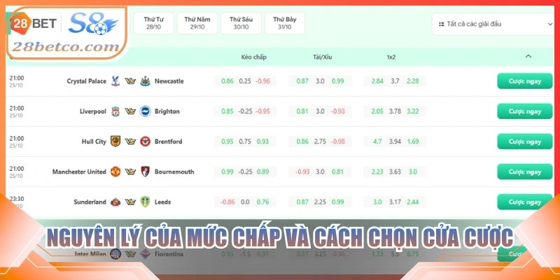Nguyên lý của mức chấp và cách chọn cửa cược
