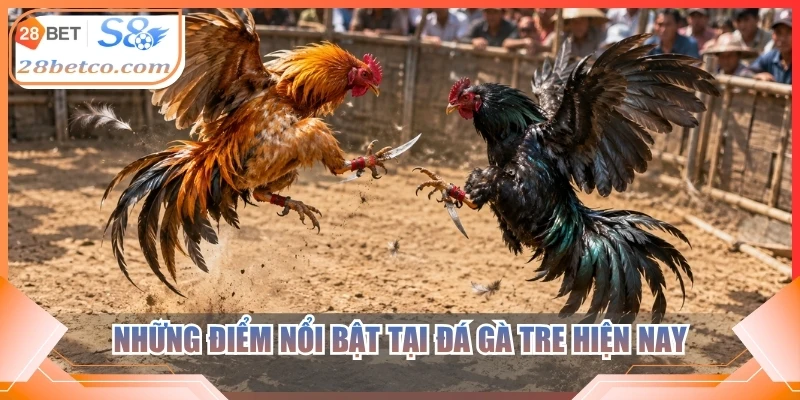 Những điểm nổi bật tại đá gà tre hiện nay