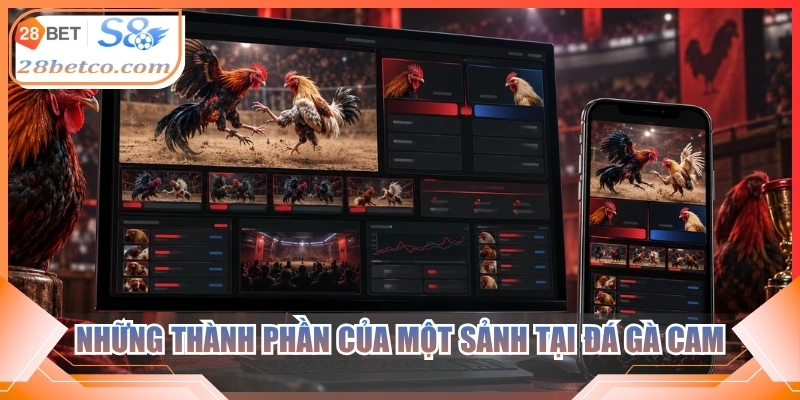 Những thành phần của một sảnh tại đá gà cam