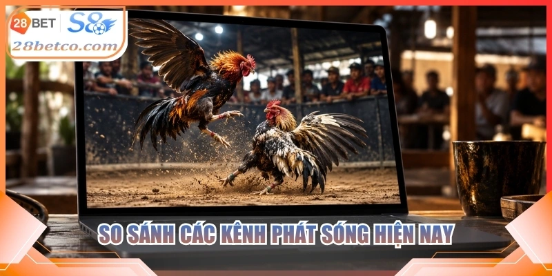 So sánh các kênh phát sóng hiện nay