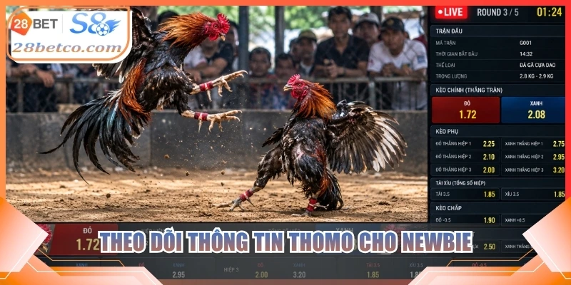 Theo dõi thông tin Thomo cho newbie