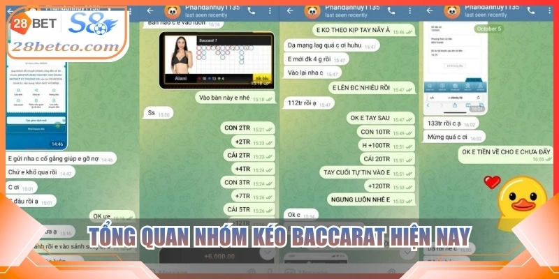 Tổng quan nhóm kéo Baccarat hiện nay