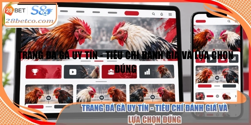 Trang đá gà uy tín