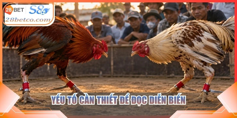 Yếu tố cần thiết để đọc diễn biến