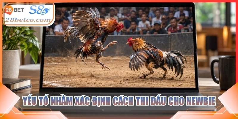 Yếu tố nhằm xác định cách thi đấu cho newbie